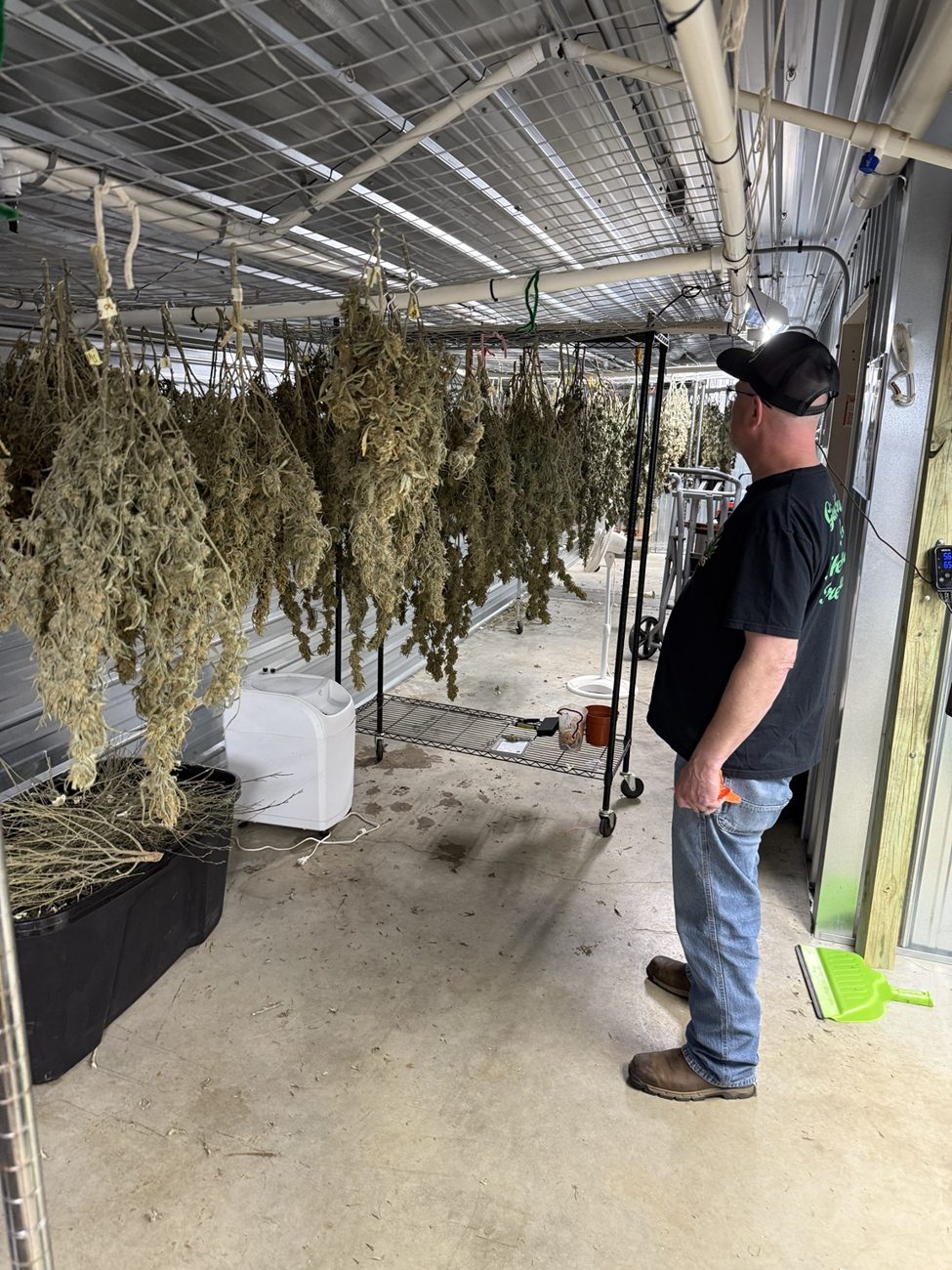 Post-Harvest Support