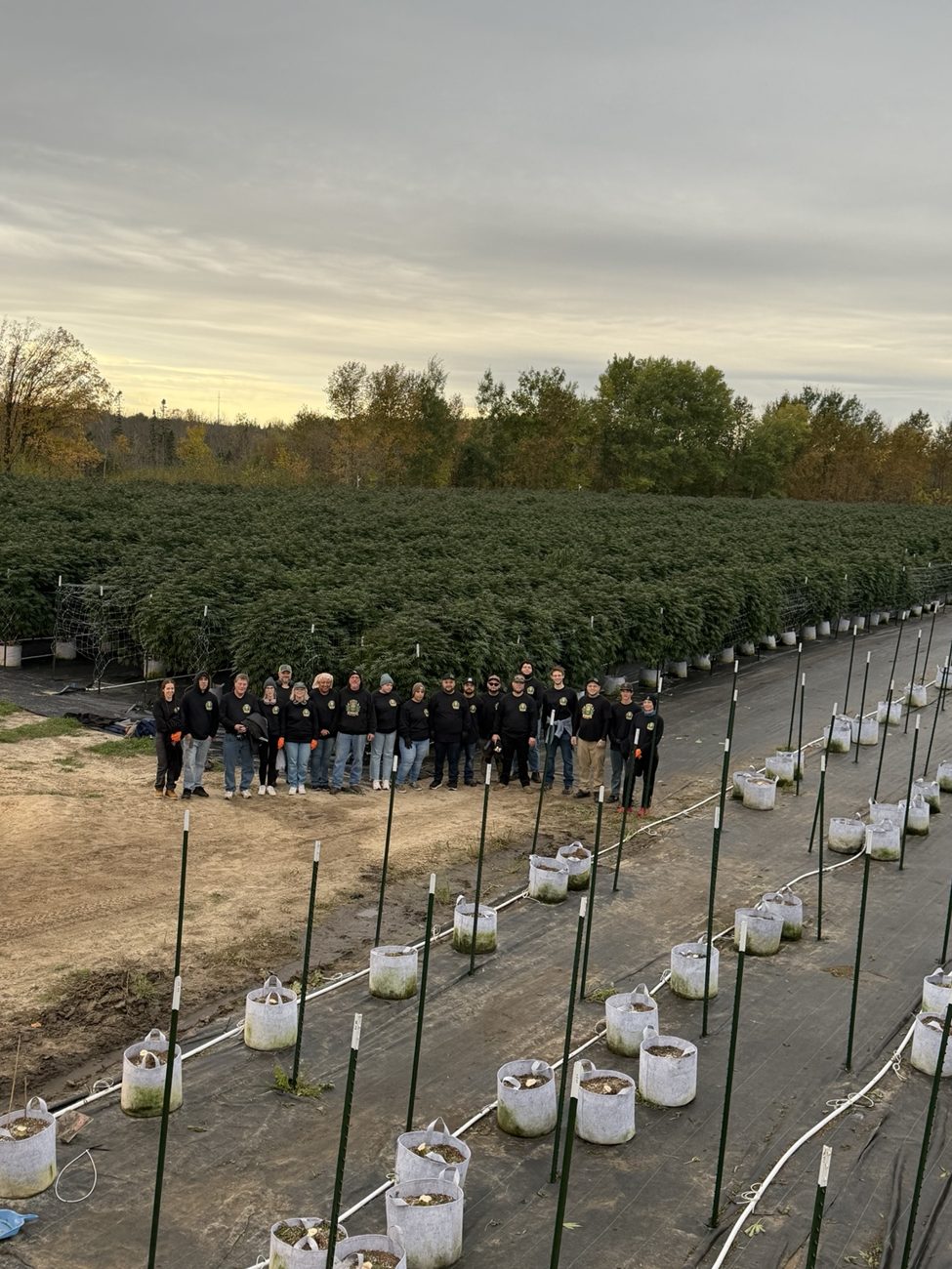 Harvest Crews