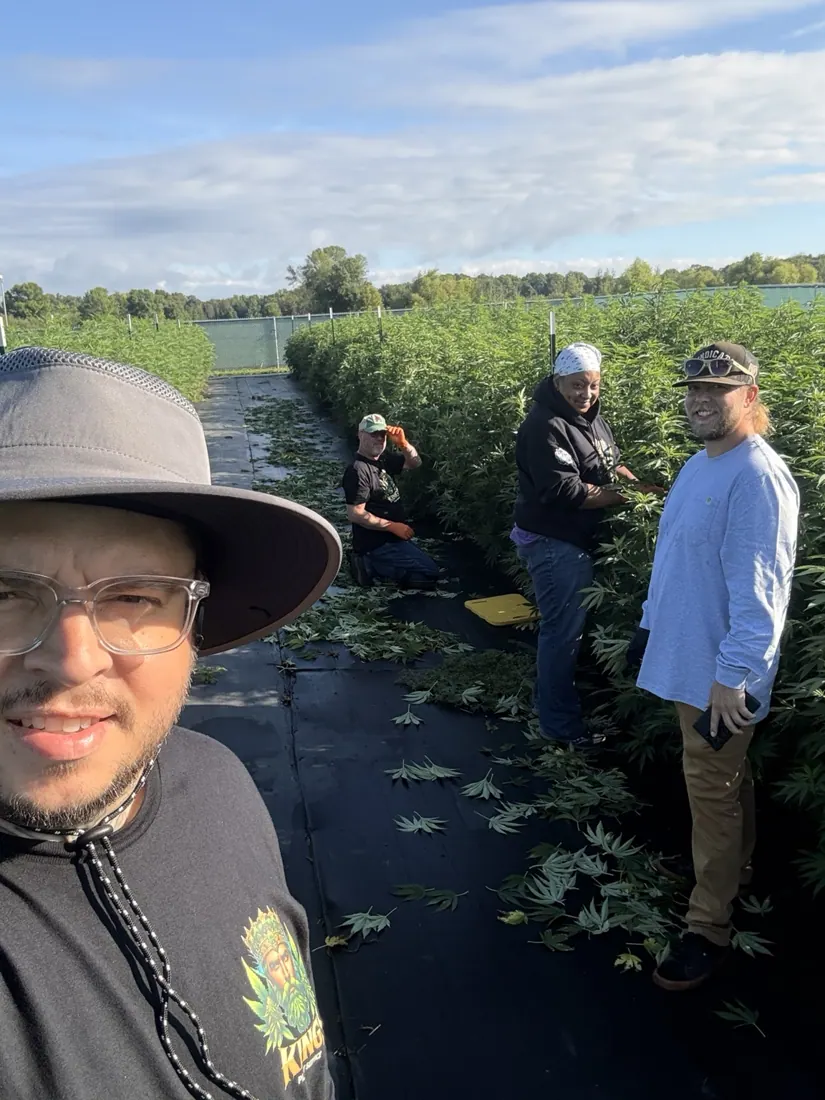 Kings Plant Service — crew & harvest photo 2