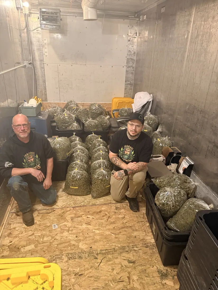 Kings Plant Service — crew & harvest photo 5