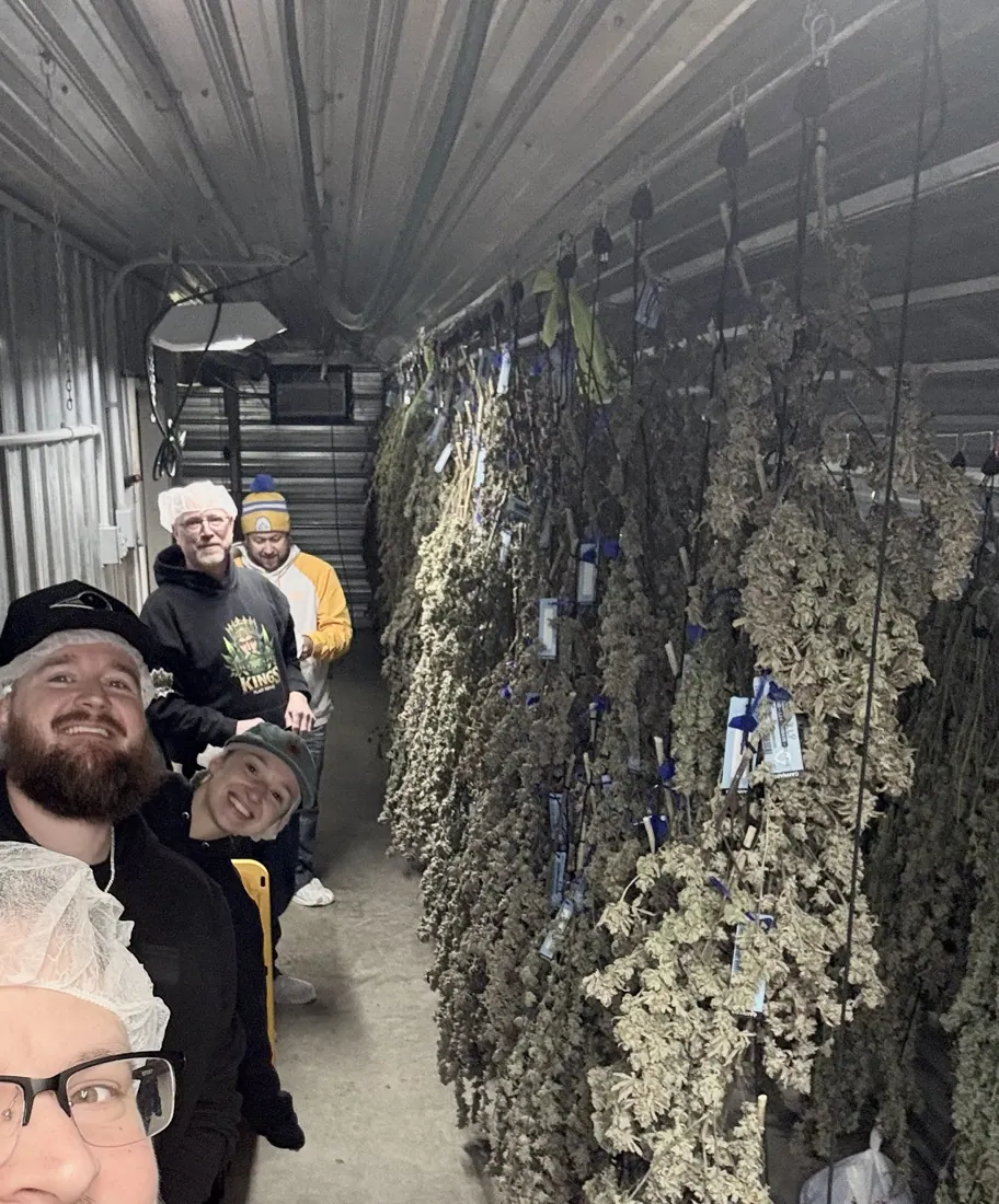 Kings Plant Service — crew & harvest photo 8