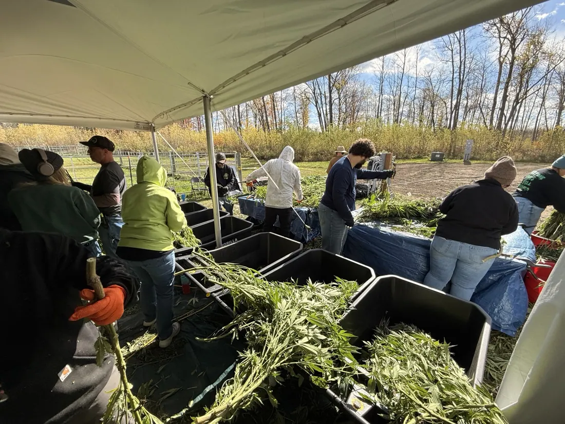Kings Plant Service — crew & harvest photo 10