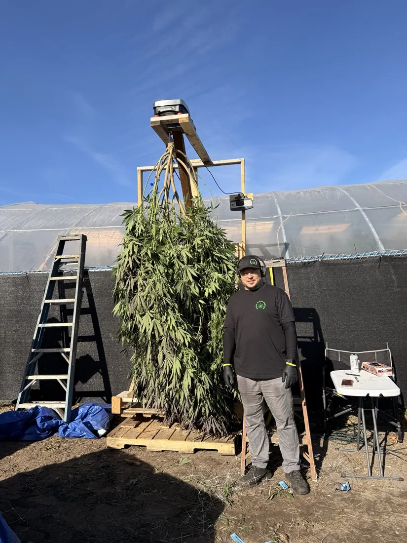 Kings Plant Service — crew & harvest photo 12