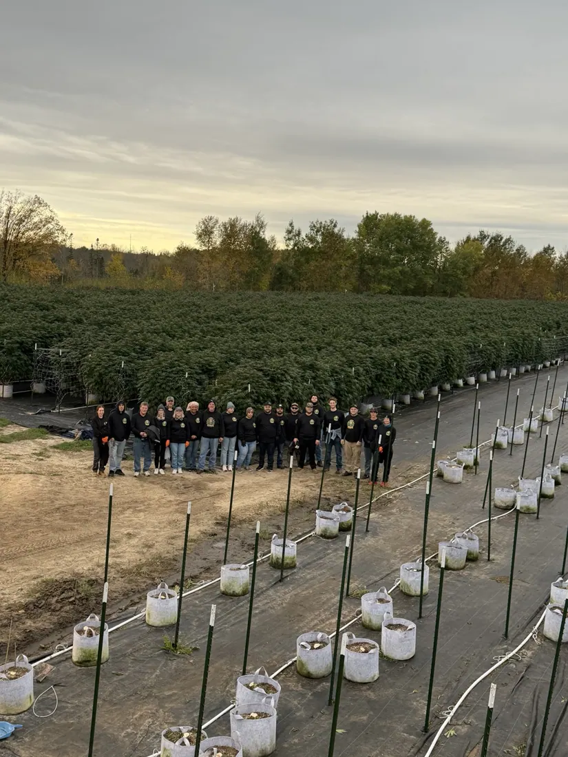 Kings Plant Service — crew & harvest photo 15