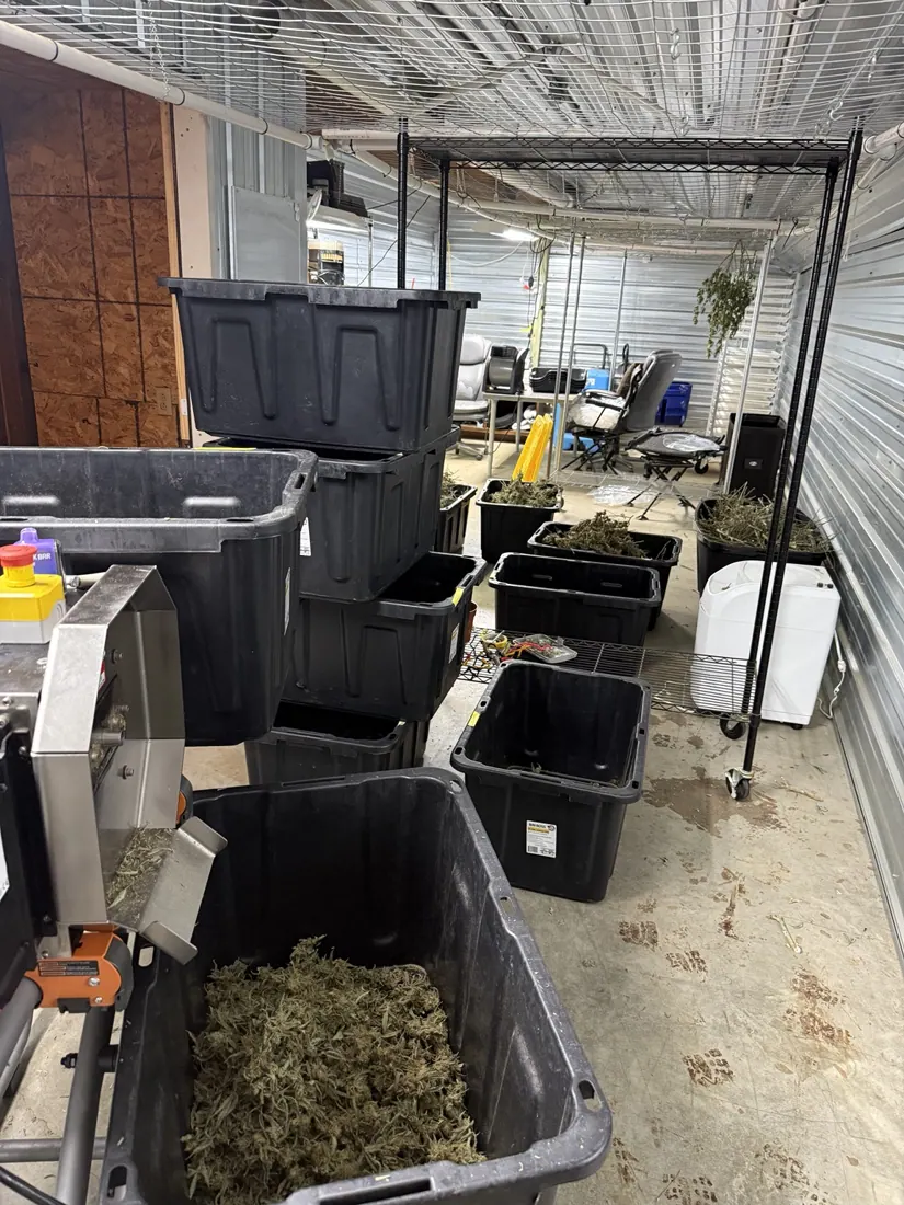 Kings Plant Service — equipment & machinery photo 2