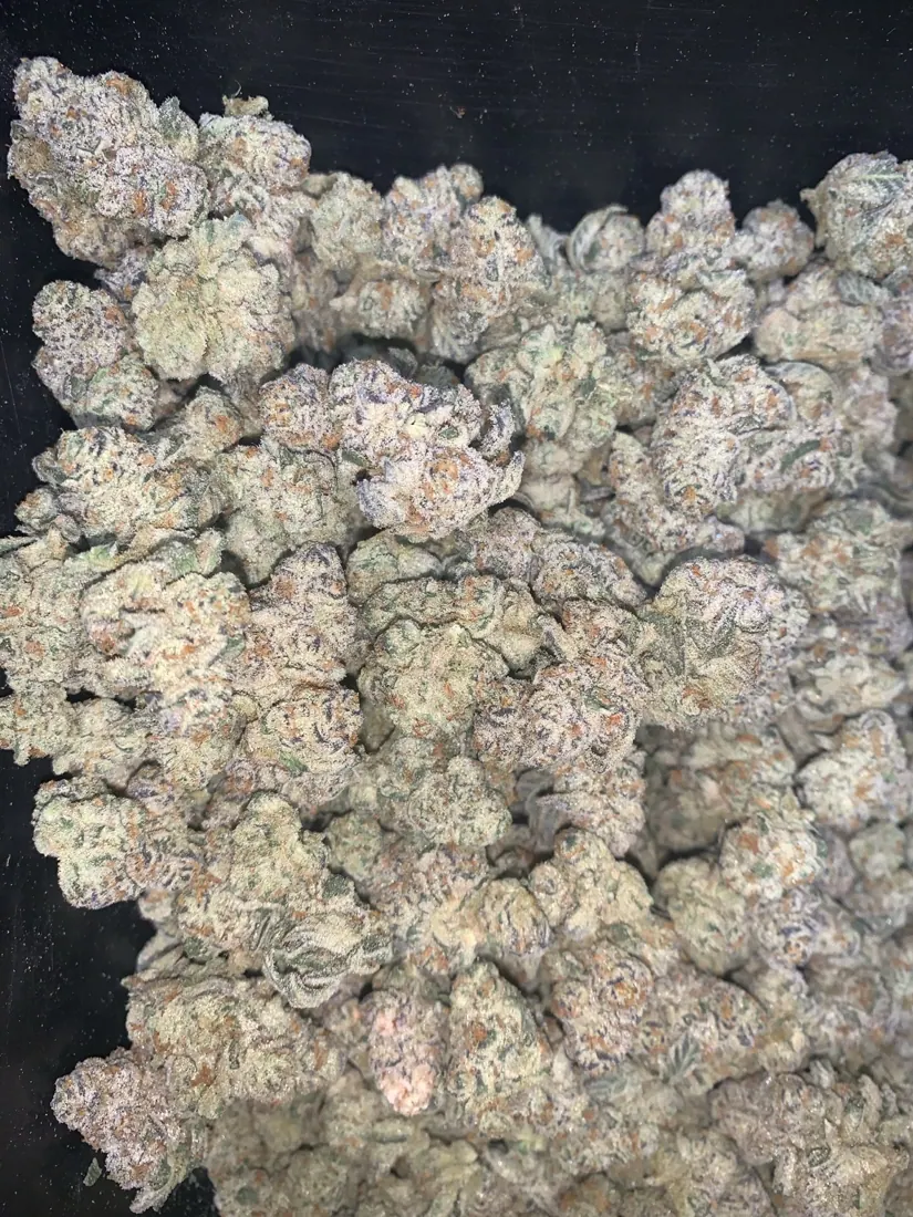 Kings Plant Service — finished flower photo 2