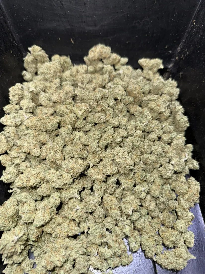 Kings Plant Service — finished flower photo 3