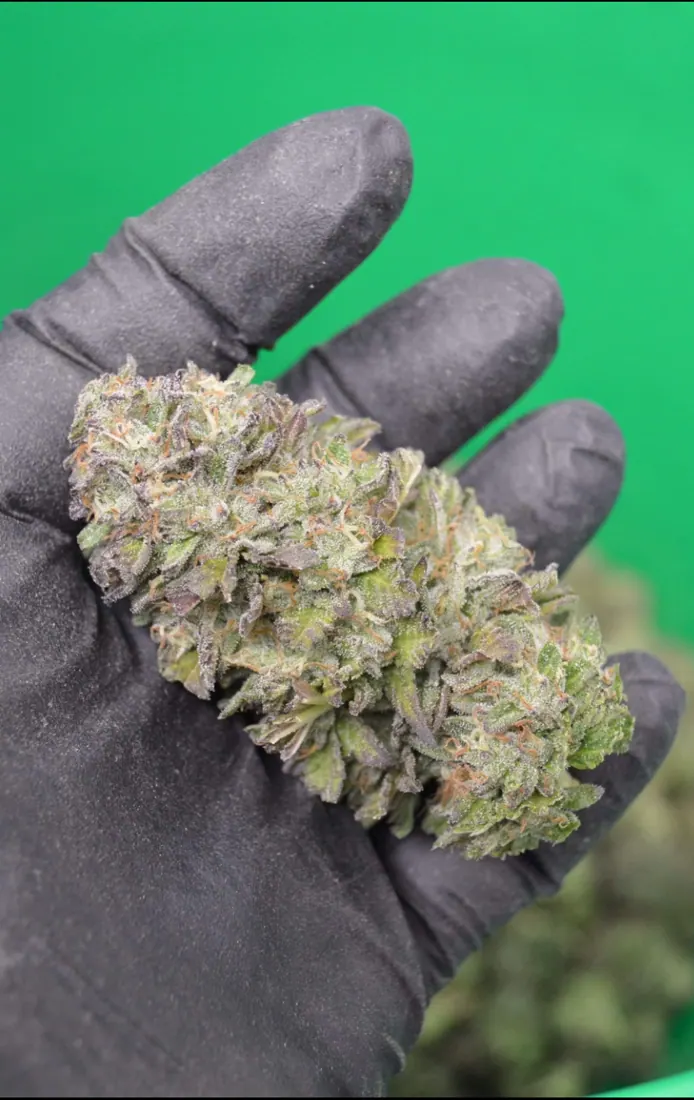 Kings Plant Service — finished flower photo 9