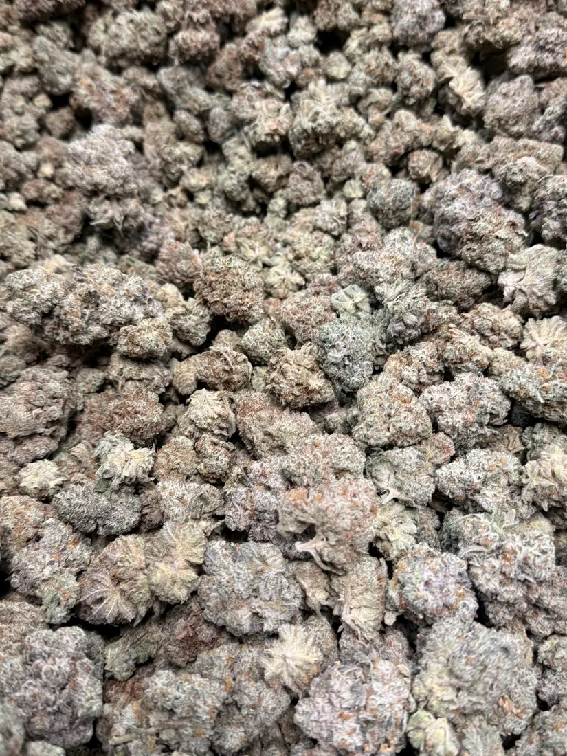 Kings Plant Service — finished flower photo 12