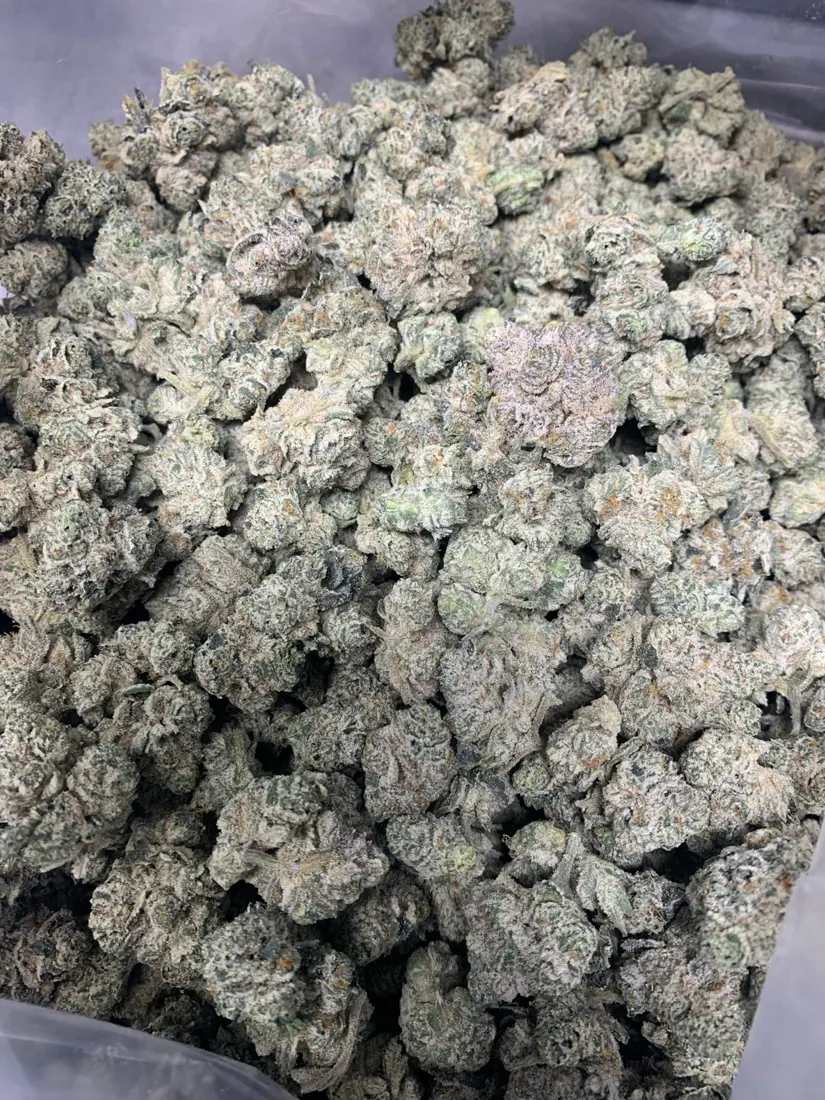 Kings Plant Service — finished flower photo 15