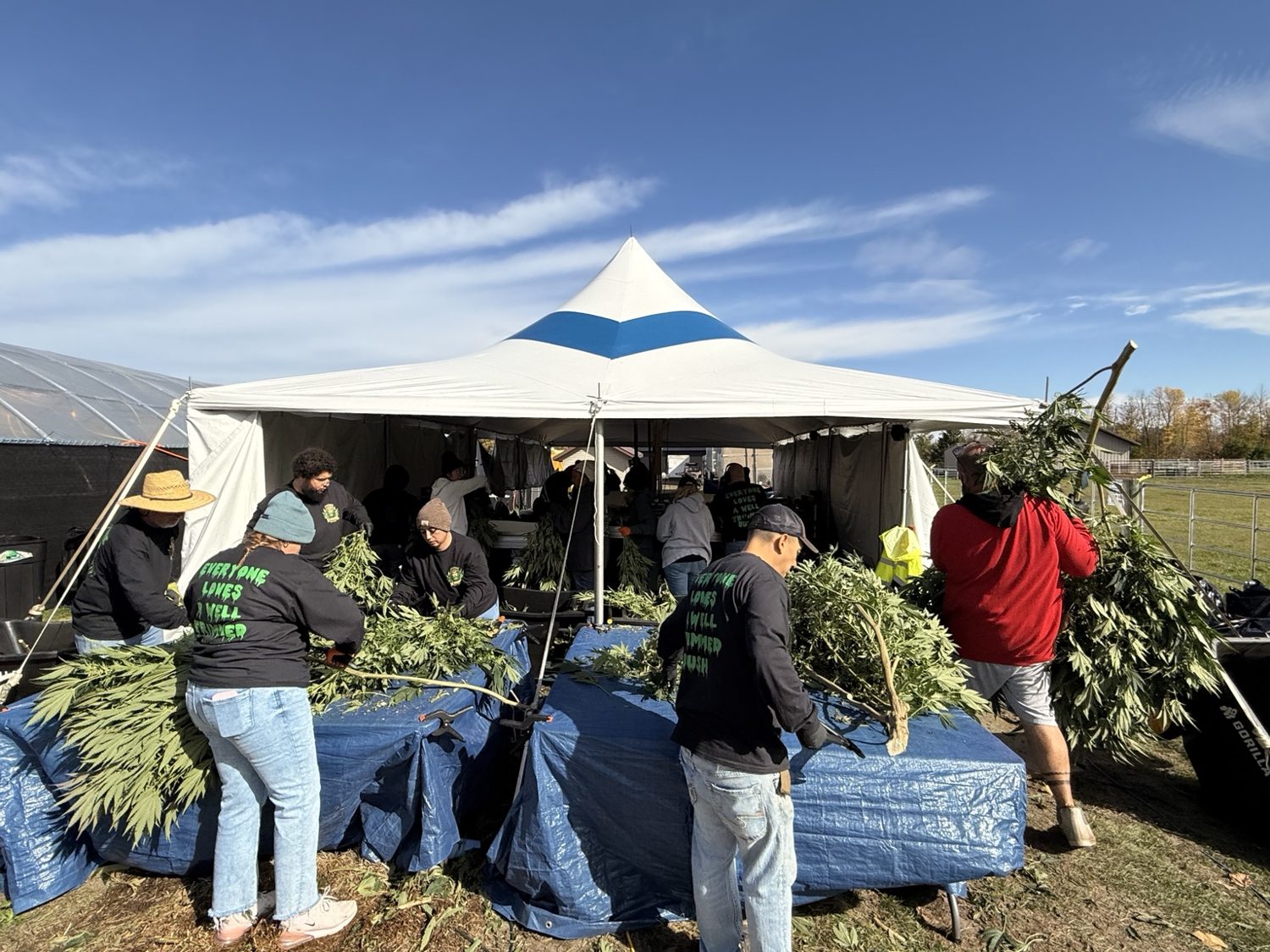 Harvest Operations