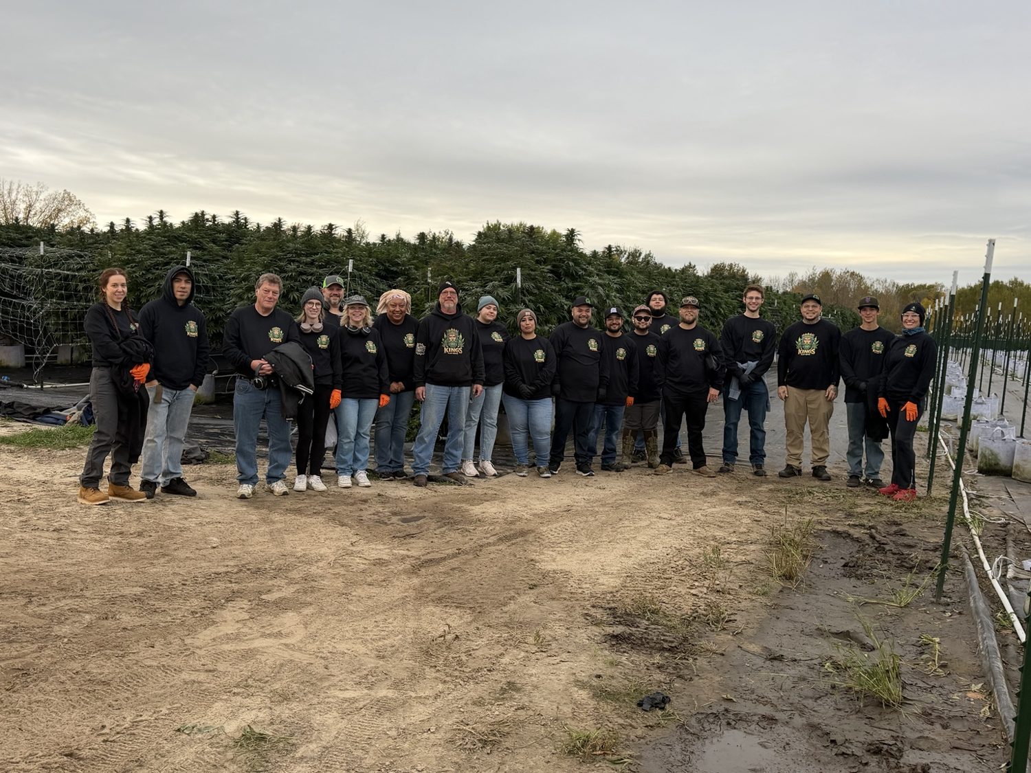 Kings harvest team