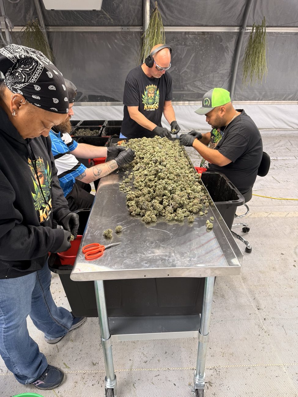 Dry Trimming